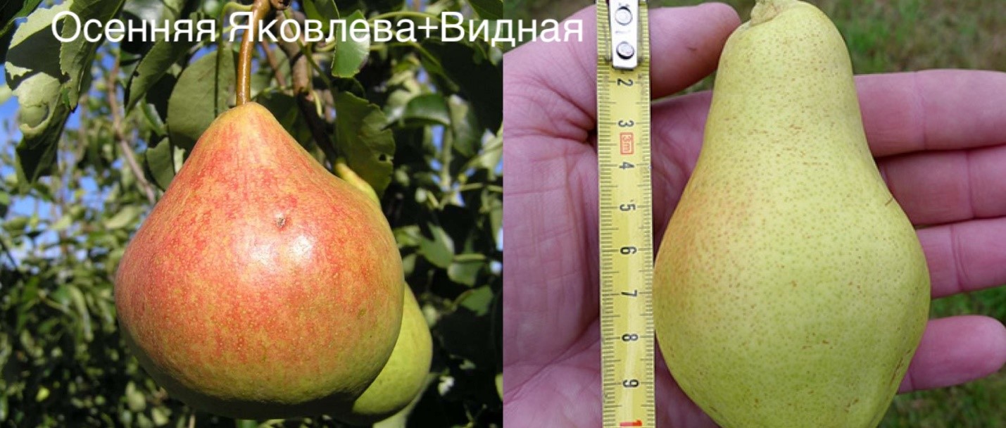 Выбор подходящего места для посадки